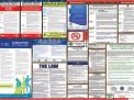 Arizona Labor Law Posters State and Federal Combo
