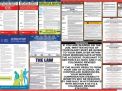 Colorado Labor Law Posters State and Federal Combo