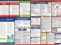 Illinois Labor Law Posters State and Federal Combo