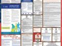 Nevada Labor Law Posters State and Federal Combo